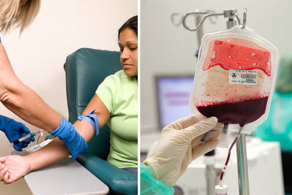 Blodgivare och transfusion